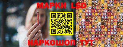 мдпв Дмитров