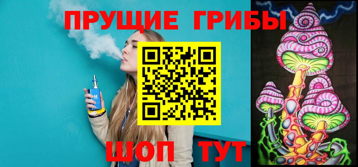 Псилоцибиновые грибы Cubensis  Вход с VPN  Большой Камень 